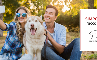 DOG’S HEALTH: L’eccellenza italiana per la cura del tuo cane
